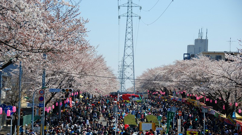 18年4月 松戸六実桜まつりhp コスプレイベントbooty